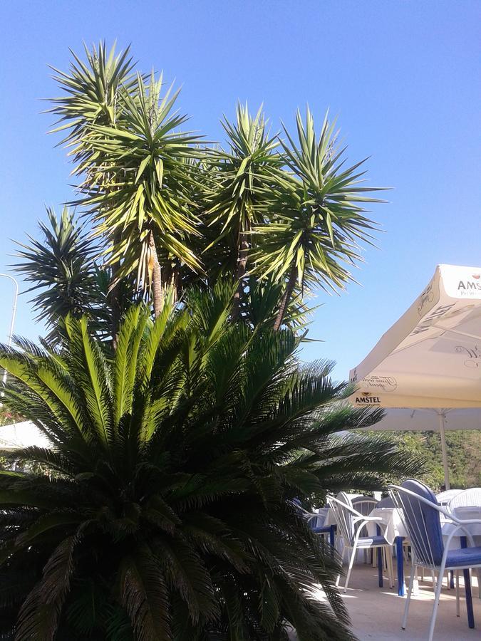 Hotel Jovana Budva Kültér fotó